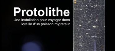 Protolithe : une installation pour voyager dans l'oreille d'un poisson migrateur