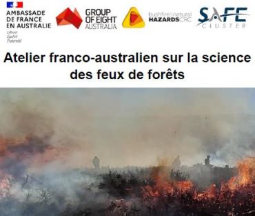Atelier franco-australien sur la science des feux de forêts - Workshop en ligne