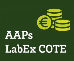 Appels à projets LabEx COTE 2019