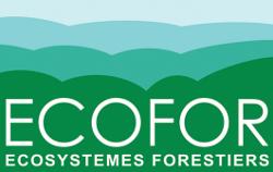 Restitution des projets Biodiversité,  gestion forestière et politiques publiques